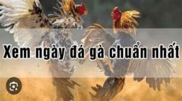 hướng dẫn sử dụng xem ngay tot da ga