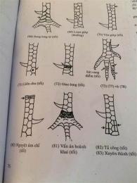 hướng dẫn sử dụng xem vay ga da