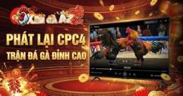 hướng dẫn sử dụng xóm gà az đã trực tiếp