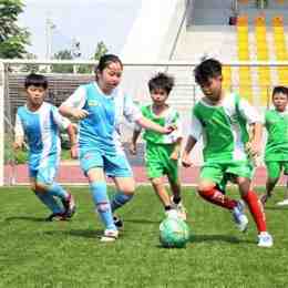 hút bồ đà chơi banh bóng đá gà