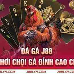 j88 đá gà
