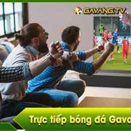 kênh bóng đá gà vàng tv