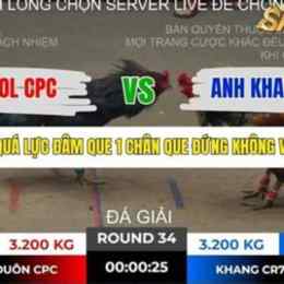 khang cr7 đá gà