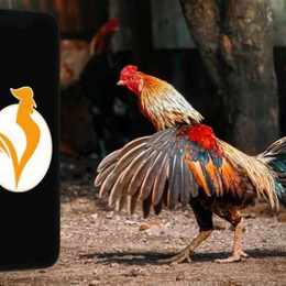 kinh nghiệm cá cược đá gà