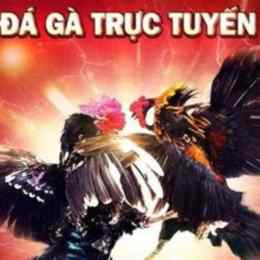 kinh nghiem da ga tren mang