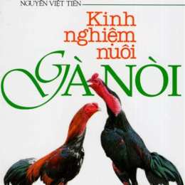 kinh nghiệm nuôi gà nòi đá