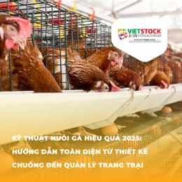 kỷ thuật nuôi gà đá