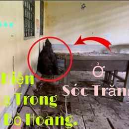 lạnh sống lưng nổi da gà