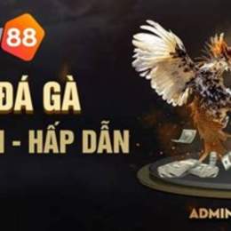 live da ga cua dao