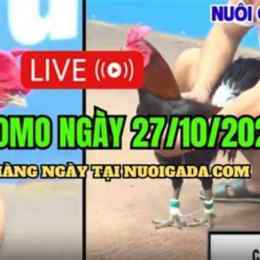 live stream đá gà thomo