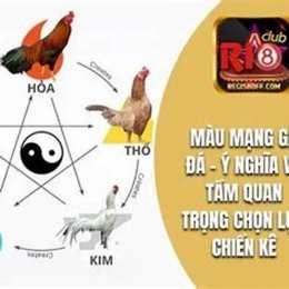 mau mang ga da cua sat 2015
