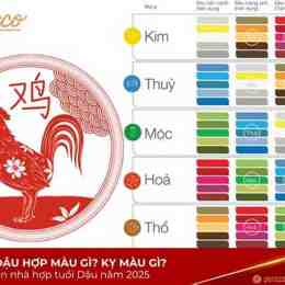 màu mang gà đá