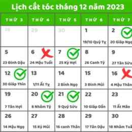 màu xem ngày tốt để đi đá gà