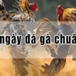 ngày ngọ đá gà gì