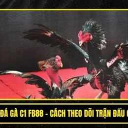 nghiệp đá gà