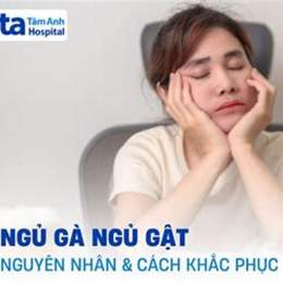 ngủ hành gà đá
