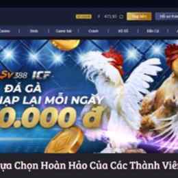 nhà cái đá gà uy tín noci88u.com