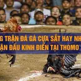 nhung tran ga da cua sat hay