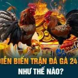 những trận gà đá tiền lớn của phúc bình dương