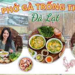 phở gà đà lạt ngon