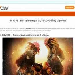 scv388 da ga truc tiep