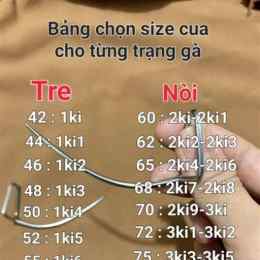 size cựa gà đá