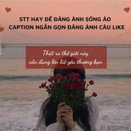 stt hay về gà đá