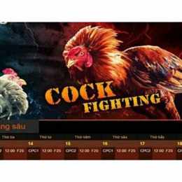 sv33888 nhà cái đá gà thể thao venus casino