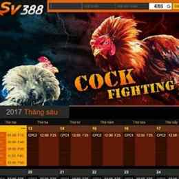 sv388 link nhà cái đá gà