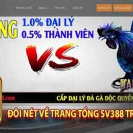 sv388 nhà cái đá gà uy tín top 1 châu á