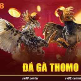 tải đá gà sv388