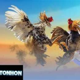 tai da ga thomo