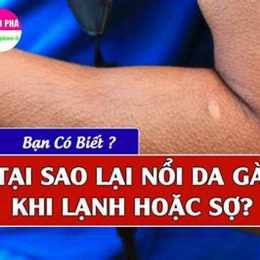 tại sao khi trời lạnh lại nổi da gà