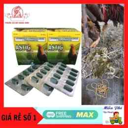 tẩy giun cho gà đá