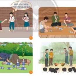 tệ nạn xã hội đá gà