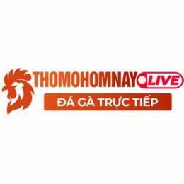 thomohomnay trực tiếp đá gà