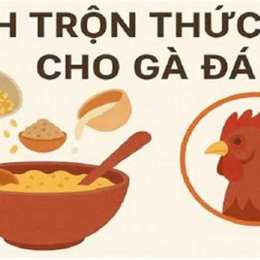 thuc an cho ga da