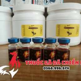 thuốc gà đá b1