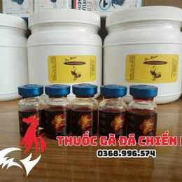 thuốc gà đá b15