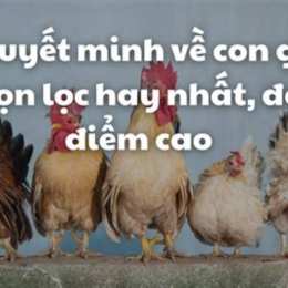 thuyết minh về ga đà lạt