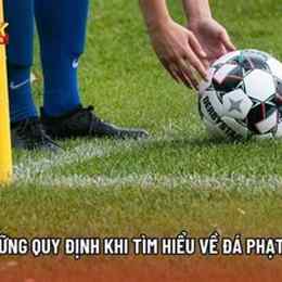 tìm đá gà