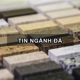tin đá gà