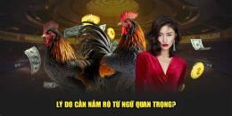 tính năng nổi bật 89bet đá gà lesson.eu.com