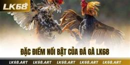 tính năng nổi bật ae8888 đá gà