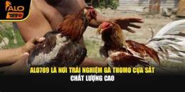 tính năng nổi bật alo 789 đá gà cựa sắt