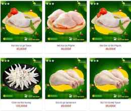 tính năng nổi bật bán da gà đông lạnh