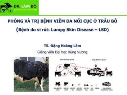 tính năng nổi bật bệnh viêm da ở gà