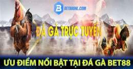 tính năng nổi bật bet88 đá gà trực tiếp