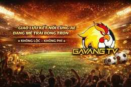 tính năng nổi bật bình luận bóng đá gà siêu phệ