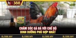 tính năng nổi bật bj388 da ga